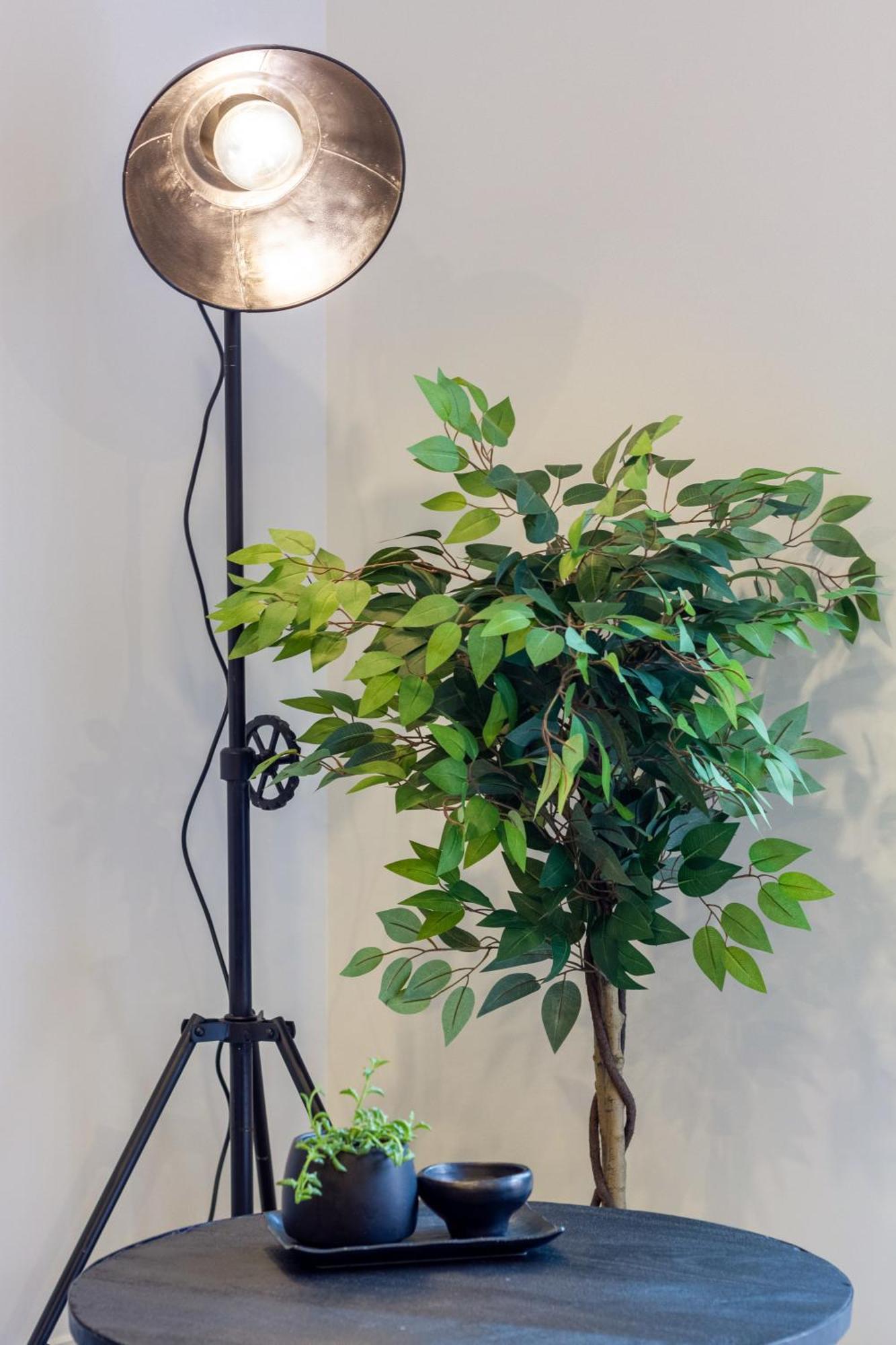 Merivale Gem: 2Br Townhouse Oasis Christchurch Eksteriør billede